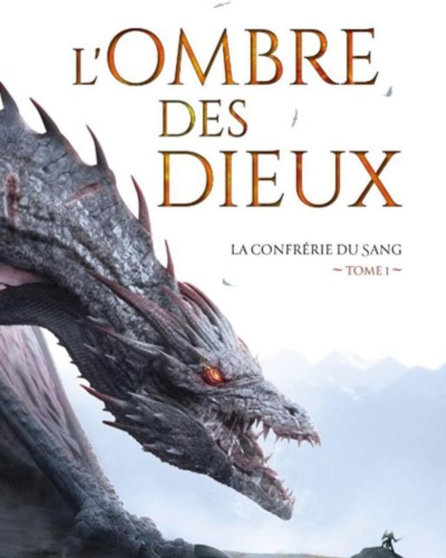 Demain sur le site je vous fais la review du dernier roman que j’ai lu: « L’ombre des dieux » de John Gwynne. Une aventure fantastique dans un monde inspiré des Vikings. Un roman violent et « réaliste »qui prend aux tripes du début à la fin! #roman #fantasy #johngwynne #lombredesdieux #geek #violent #fantastique #livre #livres #romans #viking #hydromel #scramasaxe